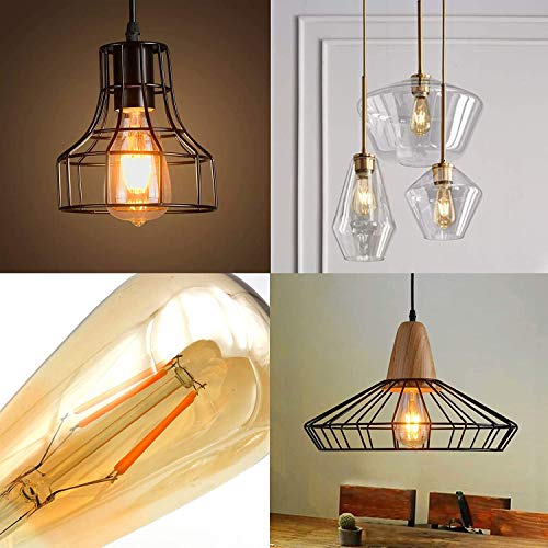 Edison Bulb ST64 (12 Count)