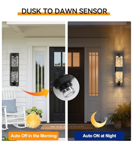 Outdoor Wall Light (2 Count)