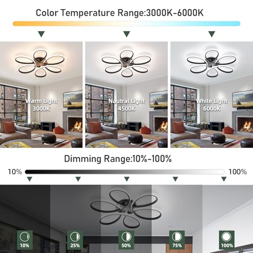 26inch Modern LED Ceiling Light
