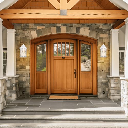 Outdoor Wall Light Fixture (2 Count)