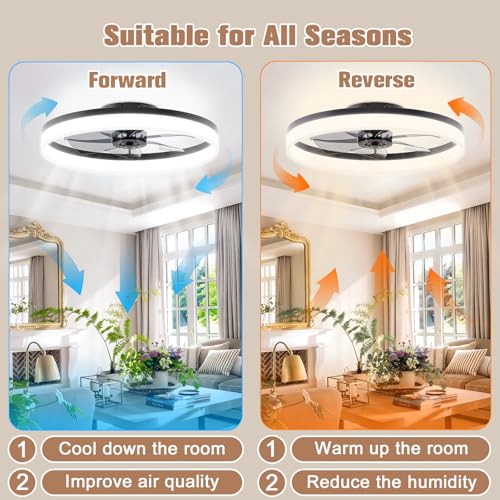 Low Profile Ceiling Fan with Light and Remote