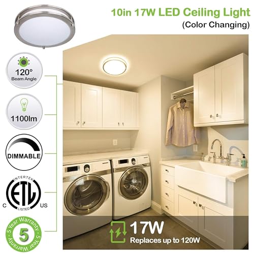 10 inch Flush Mount LED Ceiling Light Fixture (2 Count)