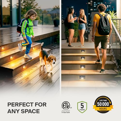 LED Recessed Step Light Fixture