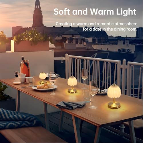 Set of 2 Tulip Table Lamp with 5200mAh Battery & Touch Control (2 Count)