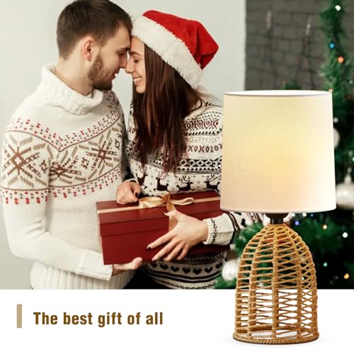 Rattan Lamp Boho Lamps Set of 2 (2 Count)
