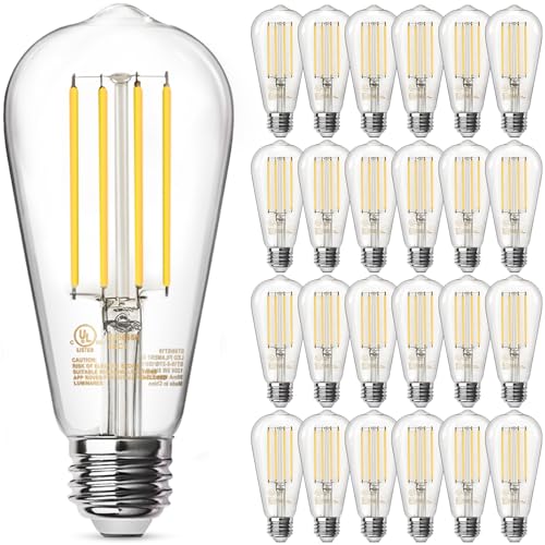 24 Pack Edison LED Light Bulbs (24 Count)