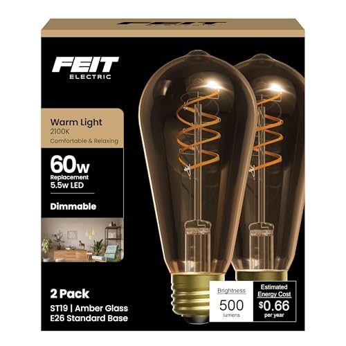 ST19 Vintage LED Light Bulb (2 Count)