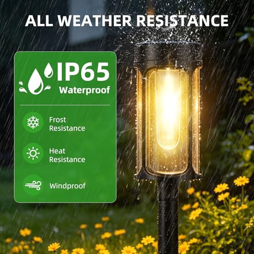 Solar Lights Outdoor (8 Count)