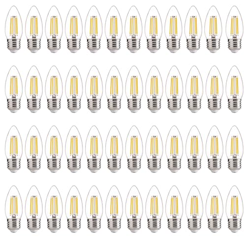 60W Equivalent LED Chandelier Light Bulbs (48 Count)