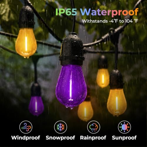 36 Pack S14 Orange and Purple Light Bulbs for String Lights (36 Count)