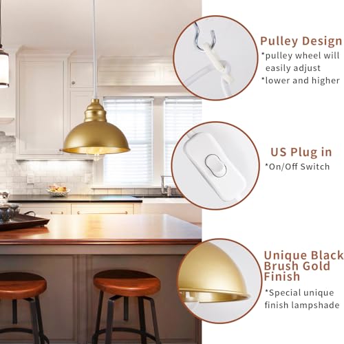 Plug in Pendant Light