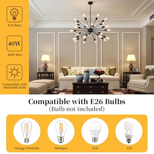 Large Black Chandelier