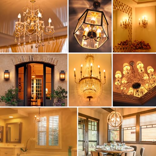24 Pack Dimmable E12 Candelabra Bulbs 40Watt Equivalent (24 Count)