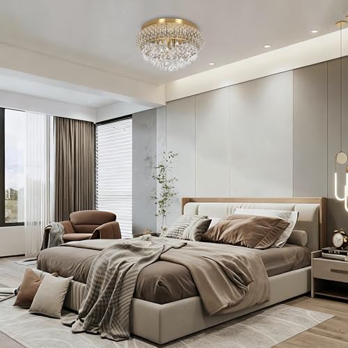 19.5'' Crystal Brass Chandelier