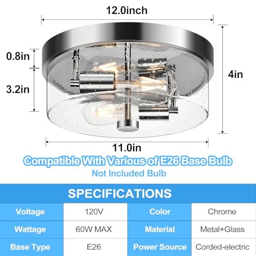 Flush Mount Ceiling Light Fixtures (2 Count)
