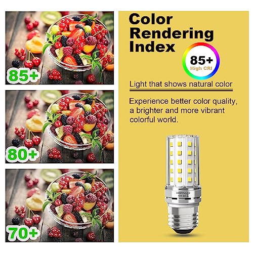 E26 LED Bulbs E26 (3 Count)