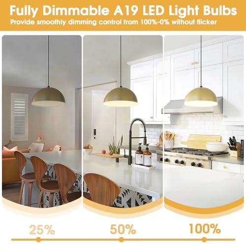 A19 LED Light Bulb (12 Count)