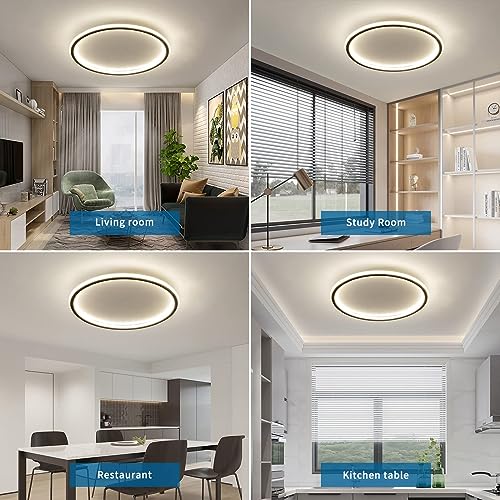 15.7 Inch Flush Mount Ceiling Light