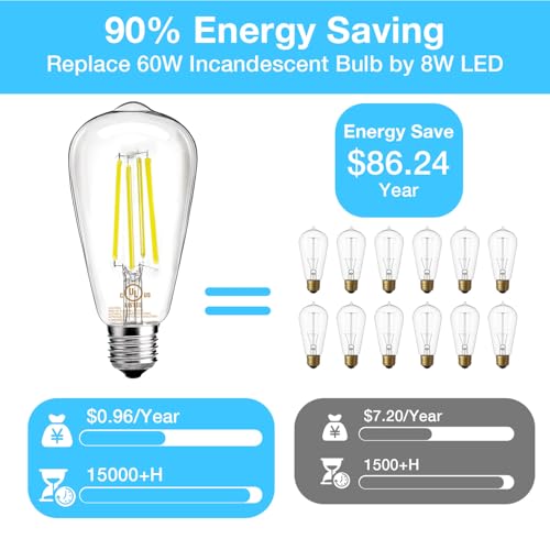 6 Pack Vintage LED Edison Bulbs (6 Count)