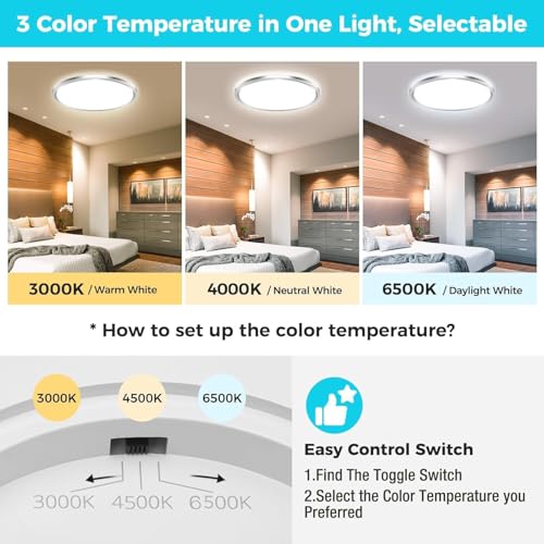 LED Ceiling Light Fixture
