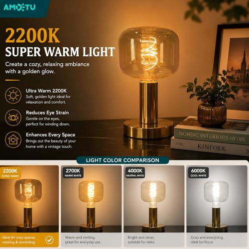 Large Amber Glass Edison LED Dimmable 2200K Vintage E26 5W