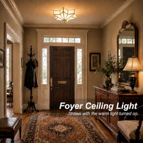 Star Shaped Ceiling Light Fixture