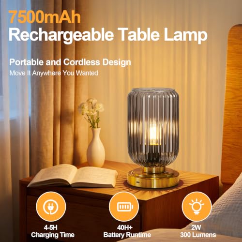 Cordless Table Lamp for Bedroom