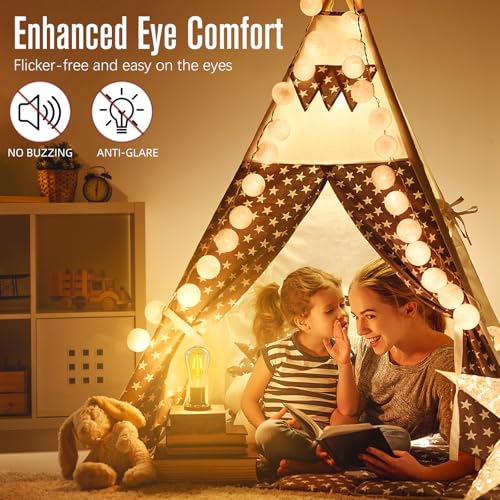 Soft White 2700K Edison Bulbs 60 watt Equivalent (24 Count)