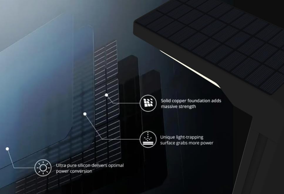 6 Pack Solar Pathway Lights (6 Count)