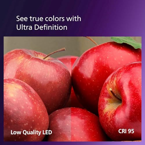 LED 40W A19 4 (4 Count)