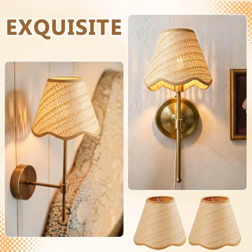 6 Pack Clip on Rattan Chandelier Lamp Shades
