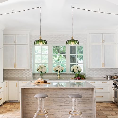Plug in Pendant Light Fixtures