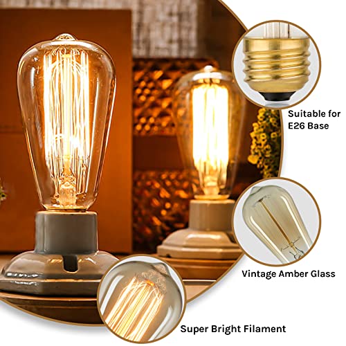 60 Watt Incandescent Edison Light Bulbs (4 Count)