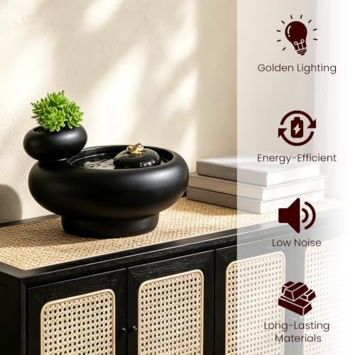 Table Fountain Indoor Water Zen Garden Decor with Succulent Plant