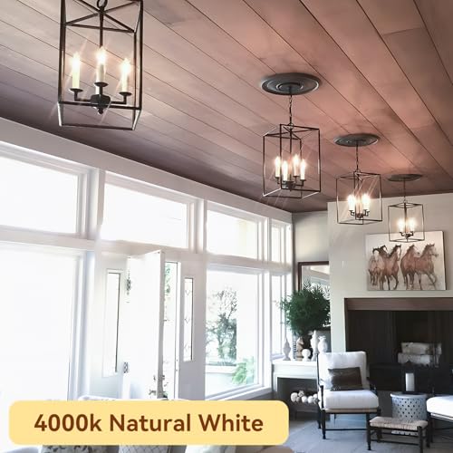 Candelabra LED Bulbs (12 Count)