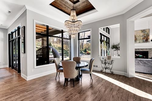 Black Modern French Empire Crystal Chandelier