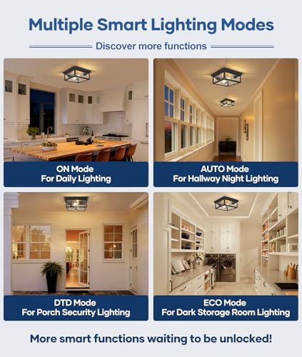 Motion Sensor Outdoor Ceiling Light with Remote