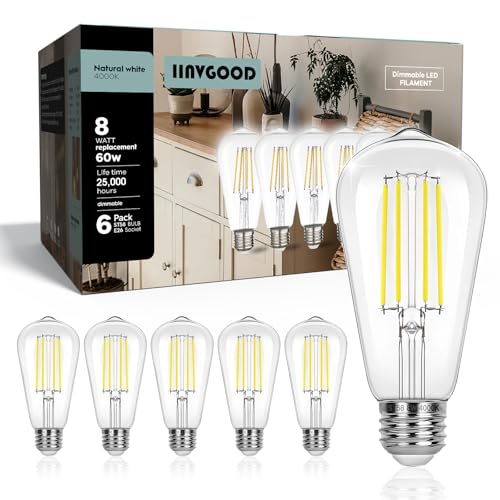 LED Light Bulbs Dimmable Vintage Edison Bulb (6 Count)