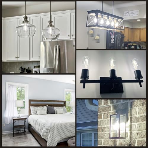 4 Pack Vintage LED Edison Bulbs (4 Count)