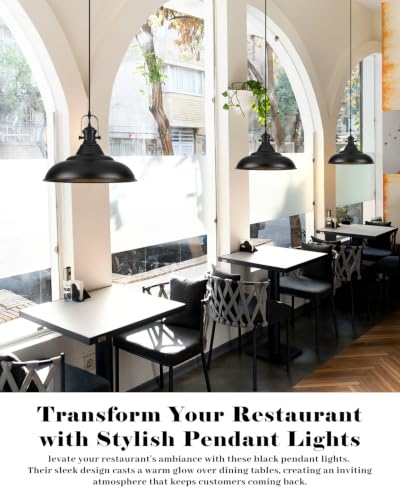 16 Inch Black Pendant Light