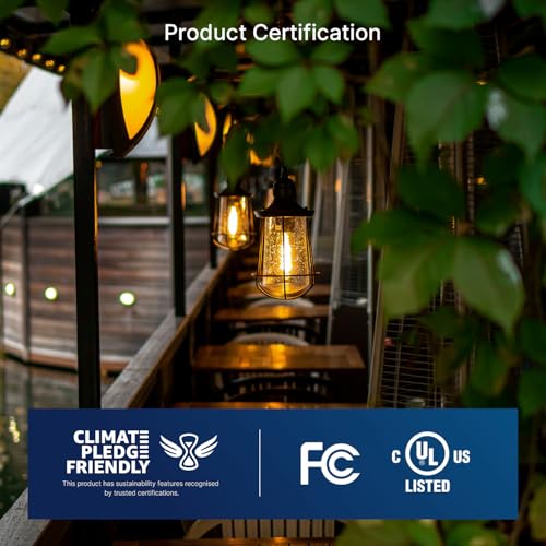 100W Equivalent LED Edison Bulbs (6 Count)