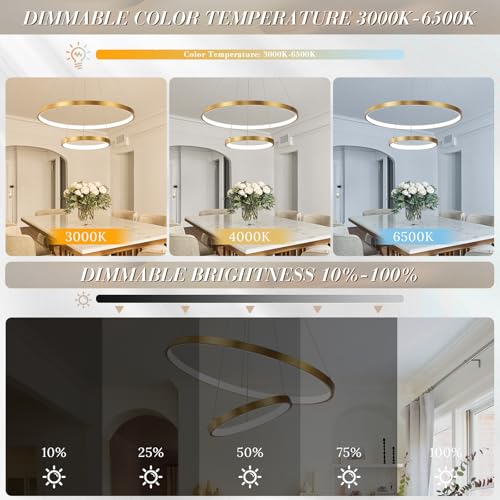 Gold LED Ring Chandeliers Modern 2