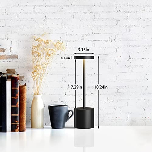 LED Cordless Table Lamps Set of 2 (2 Count)