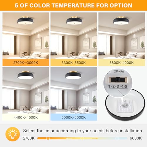 Dimmable LED Ceiling Light Fixture