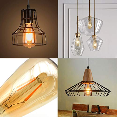 Edison Bulb ST64