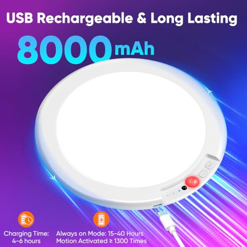 Rechargeable Motion Sensor Ceiling Light (2 Count)