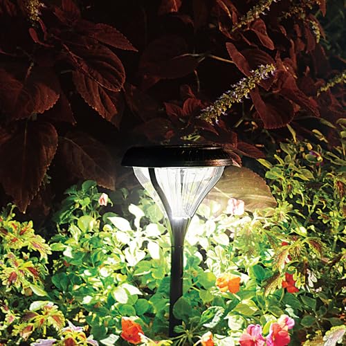 Premier Outdoor Pathway Garden Landscape Light with 2 Color LEDs (8 Count)