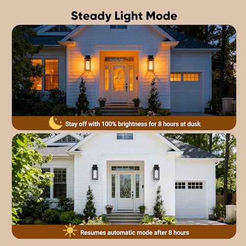 15.78'' Motion Sensor Water Ripple Porch Light (2 Count)