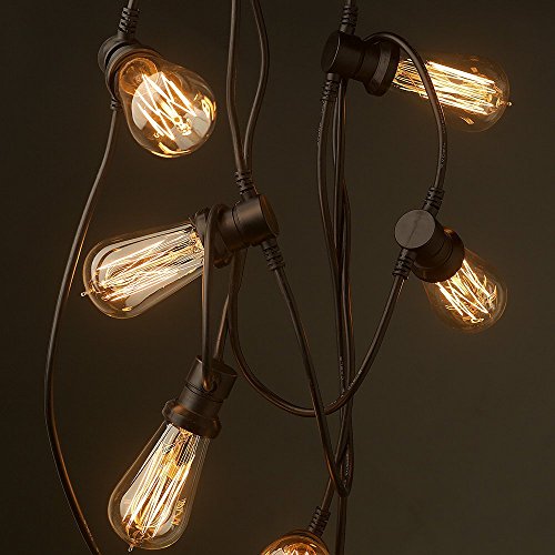 Vintage Edison Light Bulbs (2 Count)