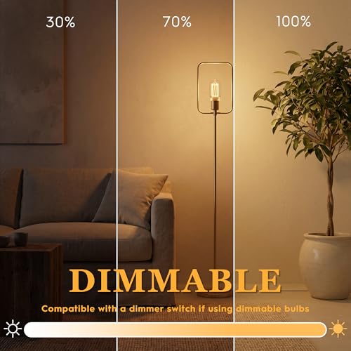 Decorative Light Bulb E26 Vintage Edison LED Dim Soft Warm Clear T45